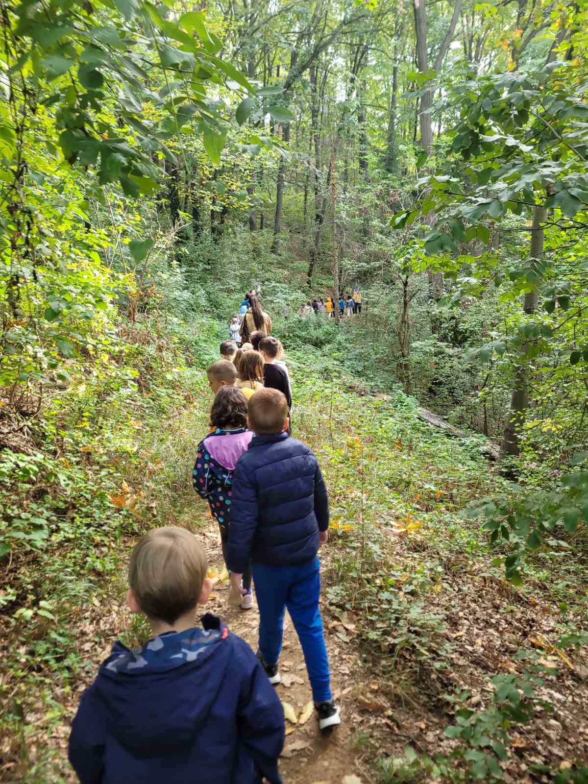 Vratimo decu prirodi