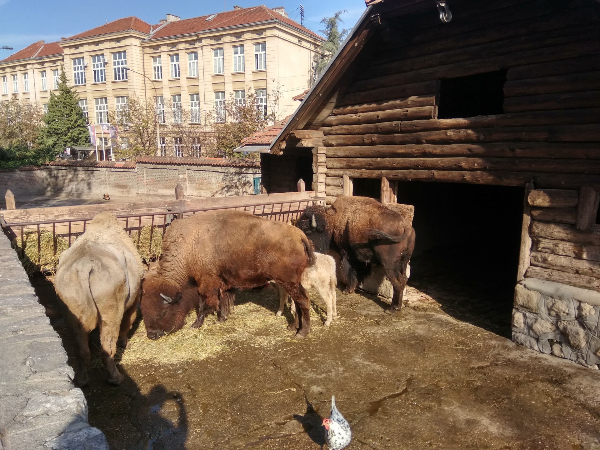 Poseta Zoološkom vrtu